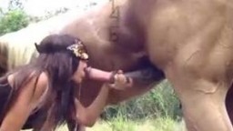 Порно с конем девушки Lise, loves horses