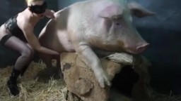 Порно девушки Yasmin с кабаном. Boar sex artofzoo