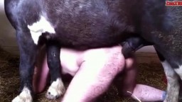 Пони трахает мужика с Кавказа в анал большим членом