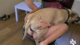 Зоофилка в красном парике отдалась кобелю на кресле. Dog sex video