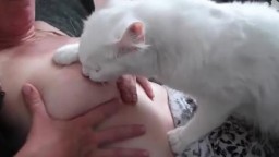 Секс девушки с котом, домашнее зоо ххх