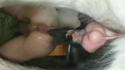 Конь тразает мужчину в жопу, анальное зоо порн