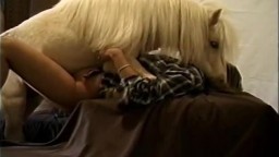 Жеребец пони трахает девушку с верху