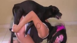 Анальный секс с собакой девушки в большую попку