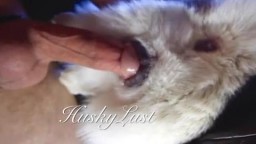 Сербский парень трахает пушистую киску своей собаки