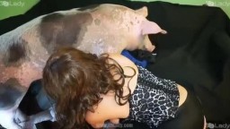 Порно девушек с кабаном в квартире, ххх видео с животным