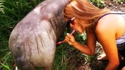 Alison and pig, real zoo porn of a girl and an animal