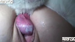 Dog Star Lise, artofzoo dog porn video