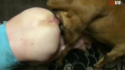 Зоофил обосрался после анального секса с собакой