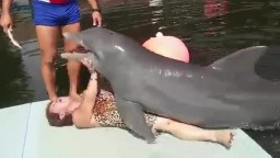 Дельфин трахает женщину, смешное видео зоо