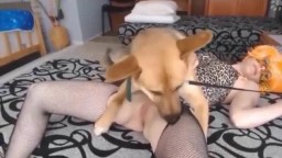 Оральный зоо секс  девушки с домашним животным, скачать