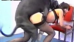 Большой дог изнасиловал женщину когда она нагнулась раком