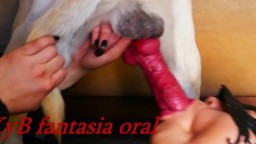 Баба сосет хуй у собаки, зоо порно ролик минета