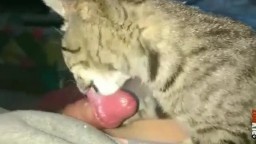 Парень дал коту лизать хуй, зоо орал с котом