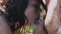 Порно девушки с лошадкой пони. Бразилия зоосекс