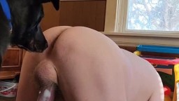 Немецкий старый зоофил дал полизать жопу кобелю