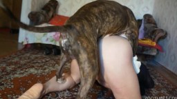 Русскую бабу 48 лет жестоко трахает собака. Zoo Team Russia 2024