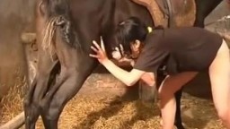 Мама трахается с конем, зоо секс ролик