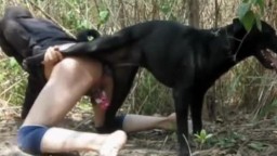 Парня трахает собака в жопу, вязка зоофила на природе