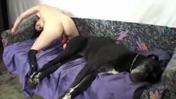 Дочка прыгает на хуе собаки чтоб кончить, зоофилия дома